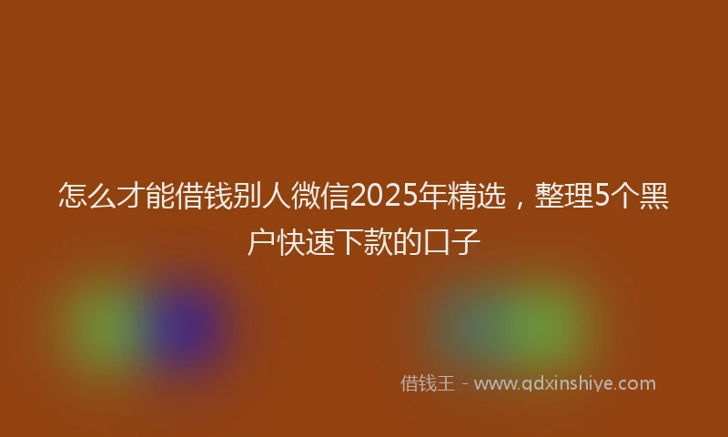 怎么才能借钱别人微信2025年精选，整理5个黑户快速下款的口子