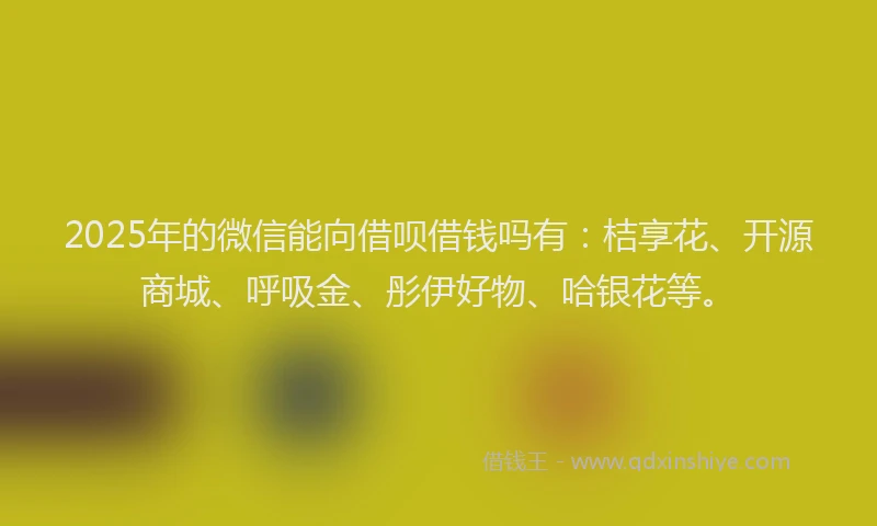 2025年的微信能向借呗借钱吗有：桔享花、开源商城、呼吸金、彤伊好物、哈银花等。