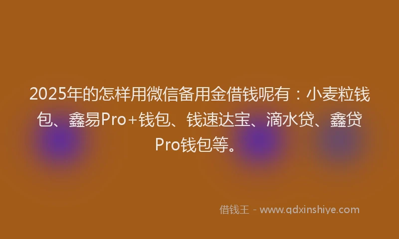 2025年的怎样用微信备用金借钱呢有：小麦粒钱包、鑫易Pro+钱包、钱速达宝、滴水贷、鑫贷Pro钱包等。