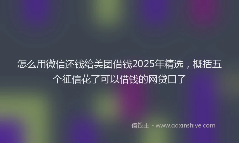 怎么用微信还钱给美团借钱2025年精选，概括五个征信花了可以借钱的网贷口子
