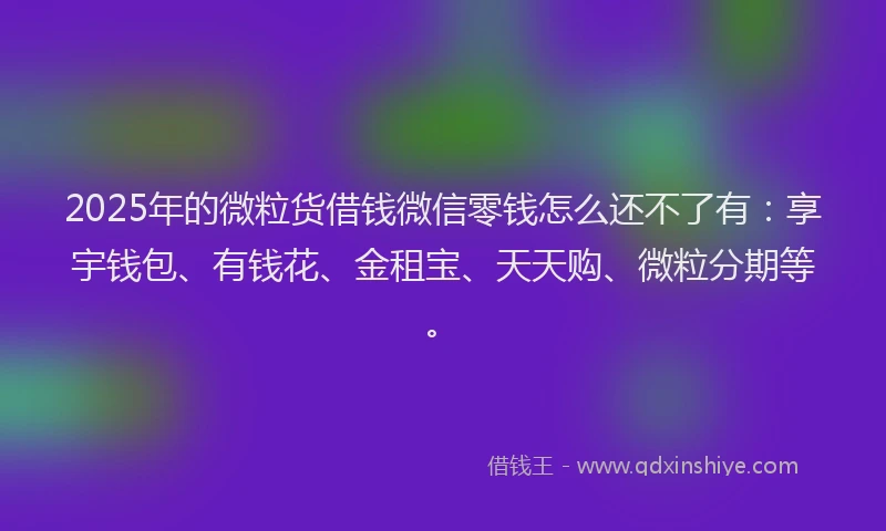 2025年的微粒货借钱微信零钱怎么还不了有：享宇钱包、有钱花、金租宝、天天购、微粒分期等。