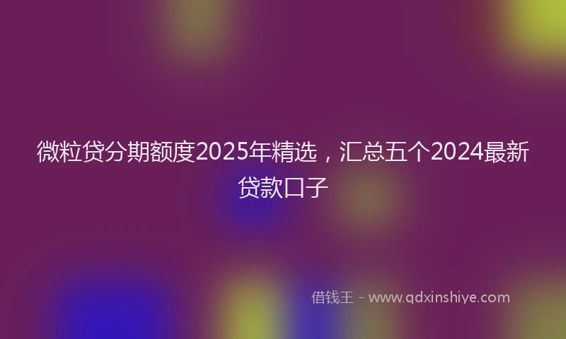 微粒贷分期额度2025年精选，汇总五个2024最新贷款口子