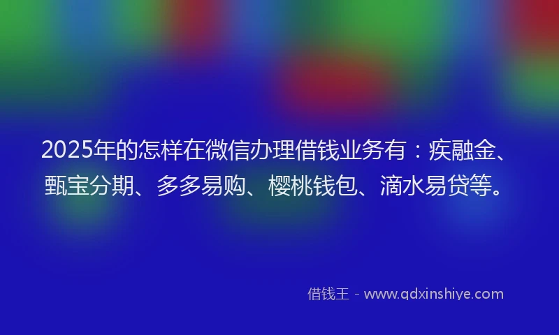 2025年的怎样在微信办理借钱业务有：疾融金、甄宝分期、多多易购、樱桃钱包、滴水易贷等。