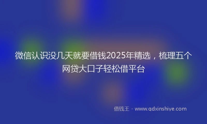 微信认识没几天就要借钱2025年精选，梳理五个网贷大口子轻松借平台