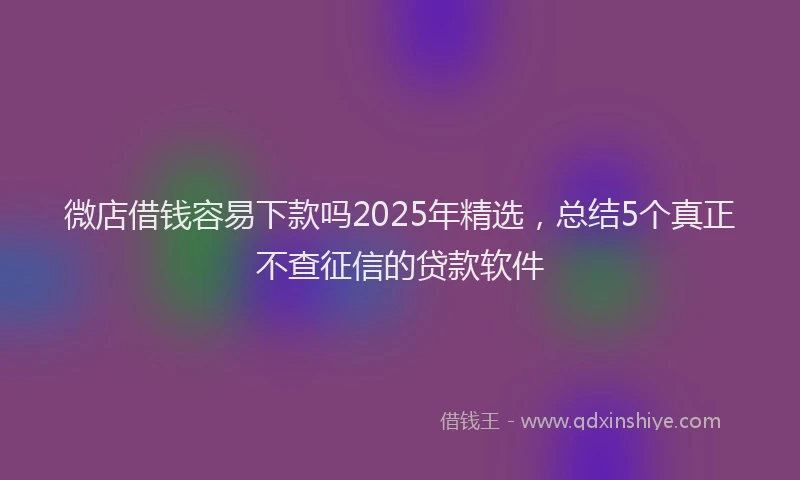 微店借钱容易下款吗2025年精选，总结5个真正不查征信的贷款软件