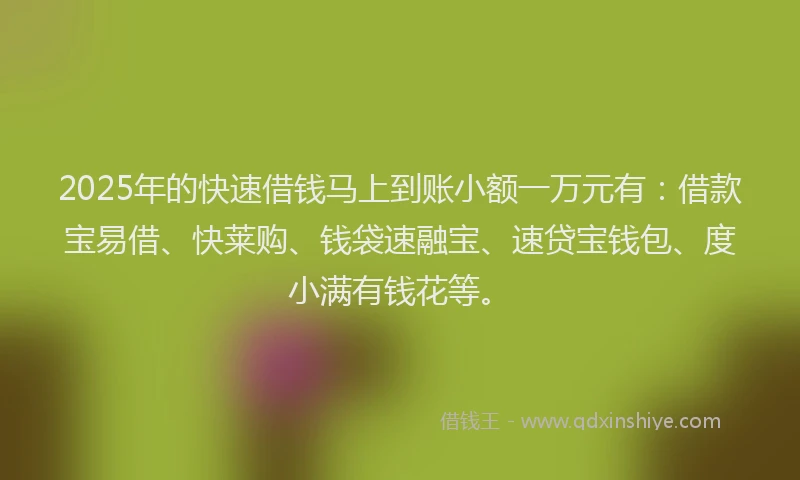 2025年的快速借钱马上到账小额一万元有：借款宝易借、快莱购、钱袋速融宝、速贷宝钱包、度小满有钱花等。