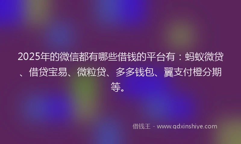2025年的微信都有哪些借钱的平台有：蚂蚁微贷、借贷宝易、微粒贷、多多钱包、翼支付橙分期等。
