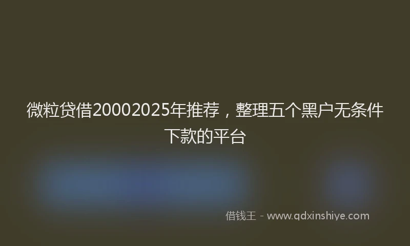 微粒贷借20002025年推荐，整理五个黑户无条件下款的平台