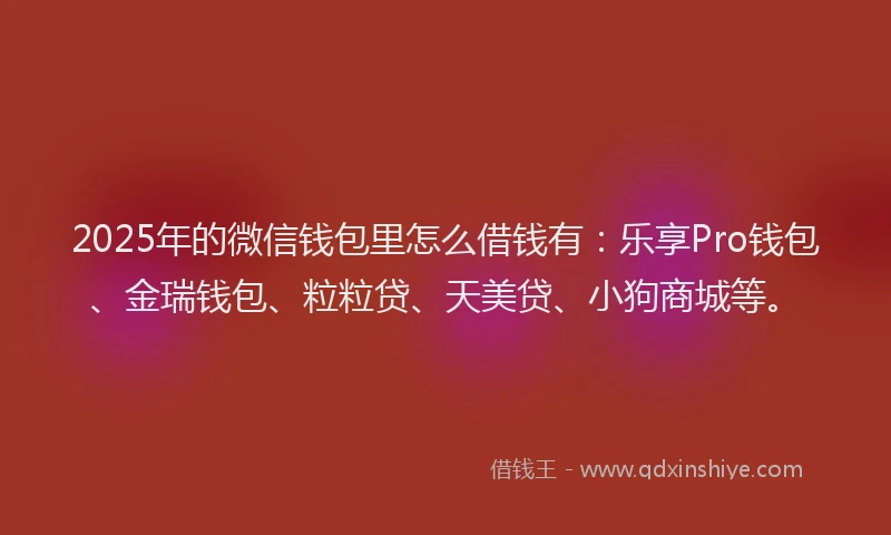2025年的微信钱包里怎么借钱有：乐享Pro钱包、金瑞钱包、粒粒贷、天美贷、小狗商城等。