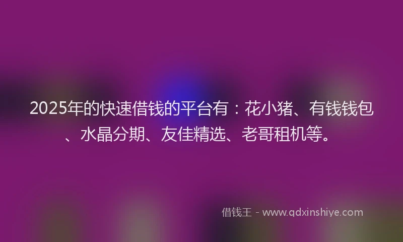 2025年的快速借钱的平台有：花小猪、有钱钱包、水晶分期、友佳精选、老哥租机等。
