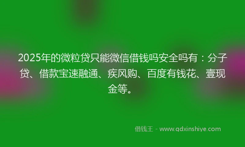 2025年的微粒贷只能微信借钱吗安全吗有：分子贷、借款宝速融通、疾风购、百度有钱花、壹现金等。