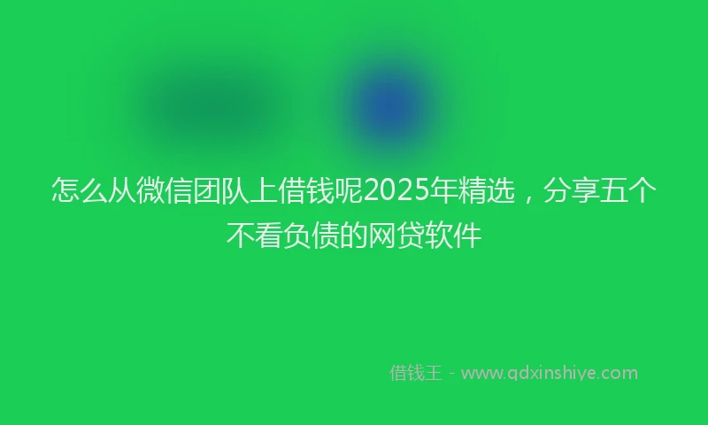 怎么从微信团队上借钱呢2025年精选，分享五个不看负债的网贷软件