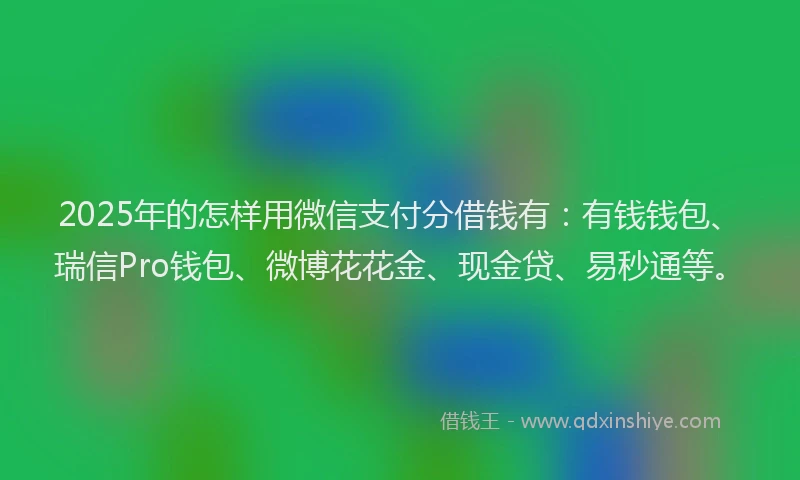 2025年的怎样用微信支付分借钱有：有钱钱包、瑞信Pro钱包、微博花花金、现金贷、易秒通等。