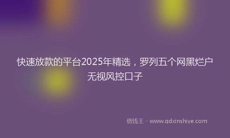 快速放款的平台2025年精选，罗列五个网黑烂户无视风控口子
