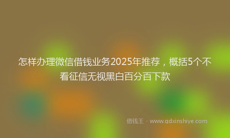 怎样办理微信借钱业务2025年推荐，概括5个不看征信无视黑白百分百下款