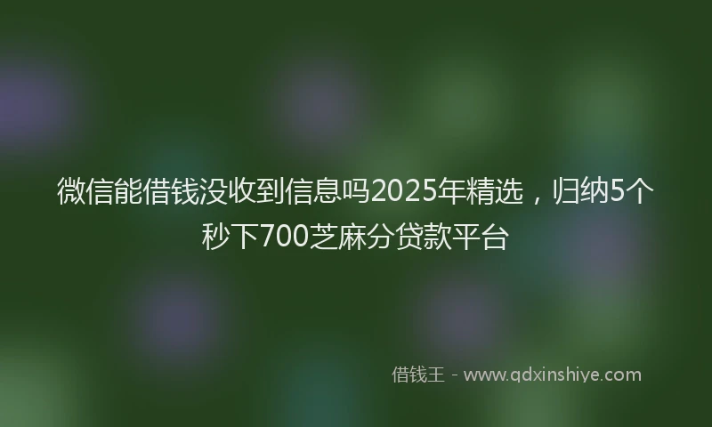 微信能借钱没收到信息吗2025年精选，归纳5个秒下700芝麻分贷款平台