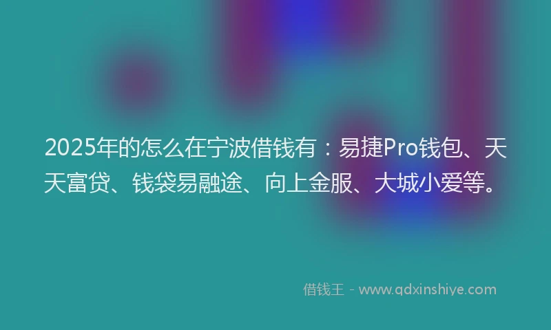 2025年的怎么在宁波借钱有：易捷Pro钱包、天天富贷、钱袋易融途、向上金服、大城小爱等。