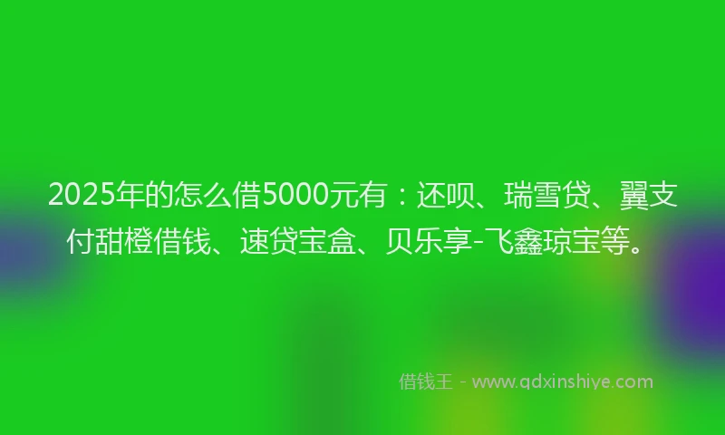 2025年的怎么借5000元有：还呗、瑞雪贷、翼支付甜橙借钱、速贷宝盒、贝乐享-飞鑫琼宝等。