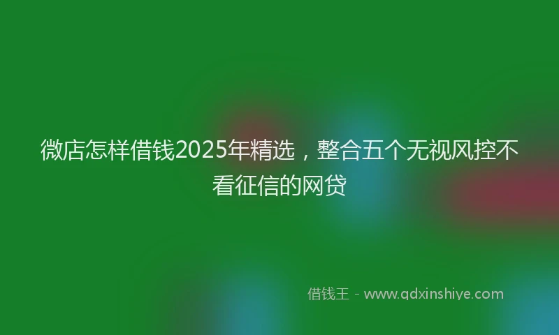微店怎样借钱2025年精选，整合五个无视风控不看征信的网贷