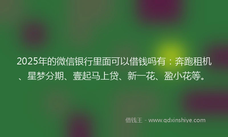 2025年的微信银行里面可以借钱吗有：奔跑租机、星梦分期、壹起马上贷、新一花、盈小花等。