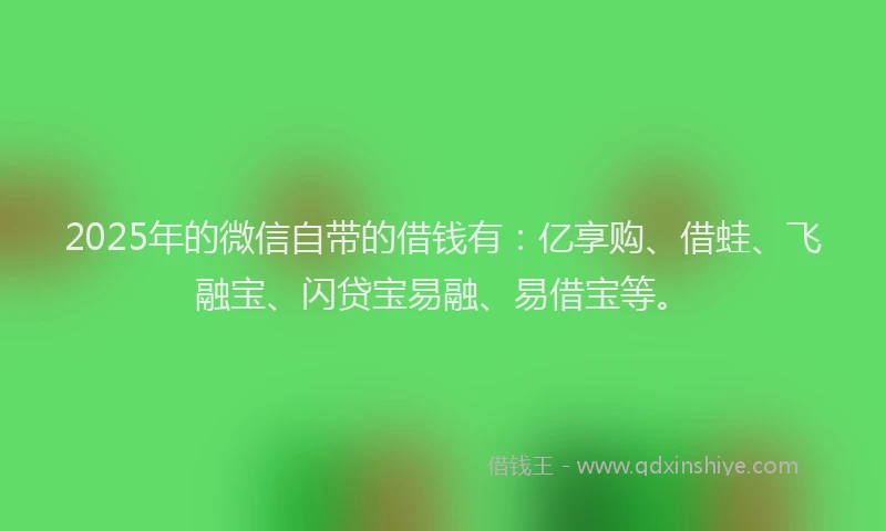 2025年的微信自带的借钱有：亿享购、借蛙、飞融宝、闪贷宝易融、易借宝等。