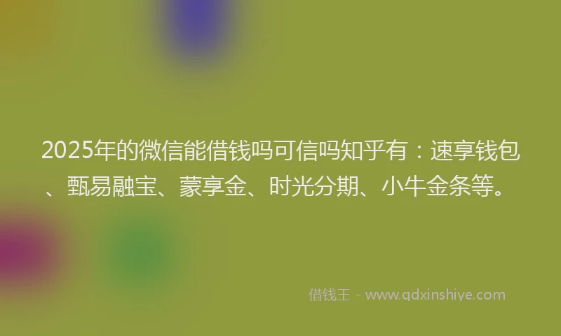 2025年的微信能借钱吗可信吗知乎有：速享钱包、甄易融宝、蒙享金、时光分期、小牛金条等。