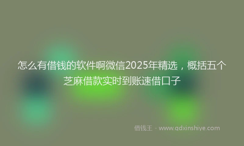 怎么有借钱的软件啊微信2025年精选，概括五个芝麻借款实时到账速借口子