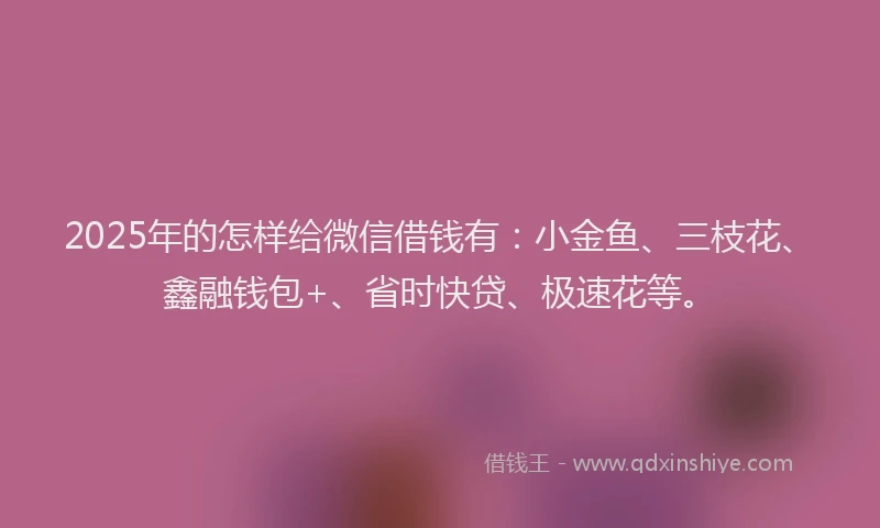 2025年的怎样给微信借钱有：小金鱼、三枝花、鑫融钱包+、省时快贷、极速花等。