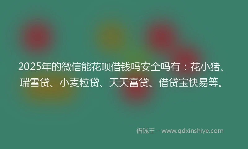 2025年的微信能花呗借钱吗安全吗有：花小猪、瑞雪贷、小麦粒贷、天天富贷、借贷宝快易等。