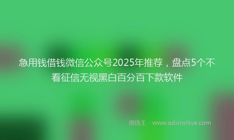 急用钱借钱微信公众号2025年推荐，盘点5个不看征信无视黑白百分百下款软件