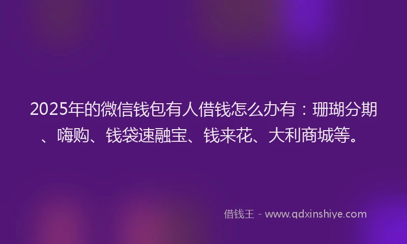 2025年的微信钱包有人借钱怎么办有：珊瑚分期、嗨购、钱袋速融宝、钱来花、大利商城等。