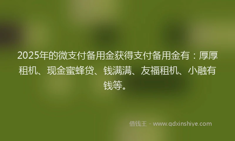 2025年的微支付备用金获得支付备用金有：厚厚租机、现金蜜蜂贷、钱满满、友福租机、小融有钱等。