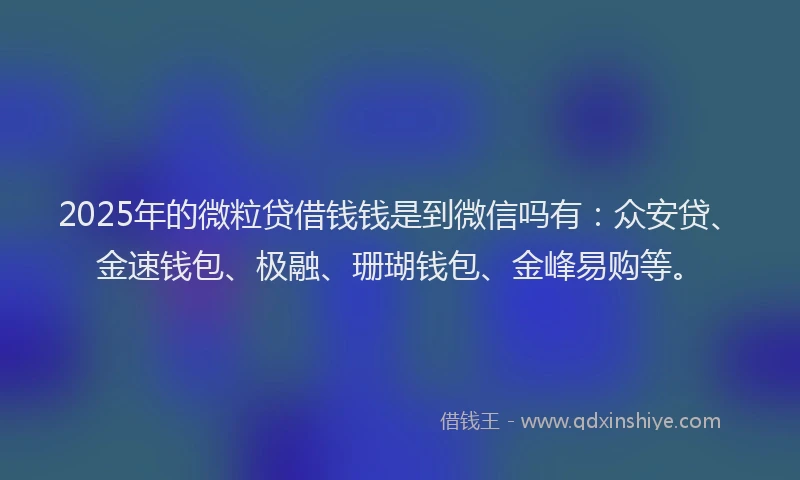 2025年的微粒贷借钱钱是到微信吗有：众安贷、金速钱包、极融、珊瑚钱包、金峰易购等。