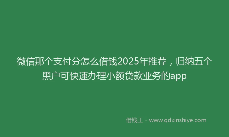 微信那个支付分怎么借钱2025年推荐，归纳五个黑户可快速办理小额贷款业务的app