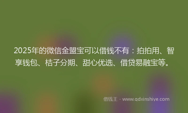 2025年的微信金盟宝可以借钱不有：拍拍用、智享钱包、桔子分期、甜心优选、借贷易融宝等。