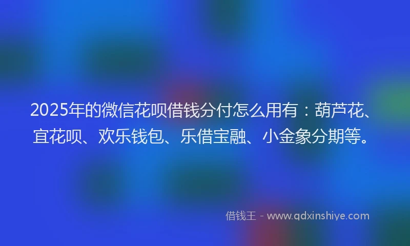 2025年的微信花呗借钱分付怎么用有：葫芦花、宜花呗、欢乐钱包、乐借宝融、小金象分期等。