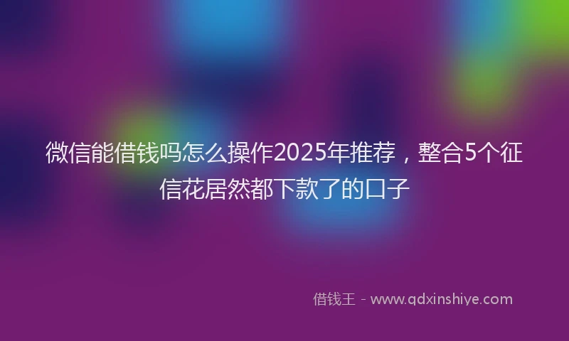 微信能借钱吗怎么操作2025年推荐，整合5个征信花居然都下款了的口子
