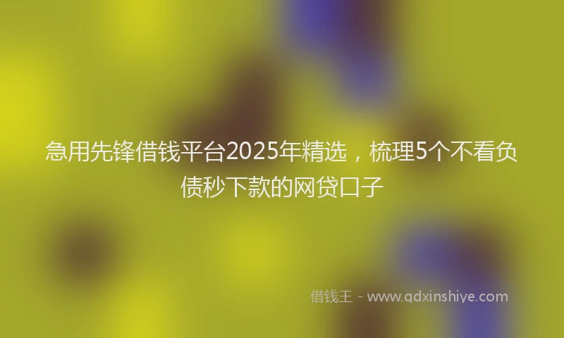 急用先锋借钱平台2025年精选，梳理5个不看负债秒下款的网贷口子