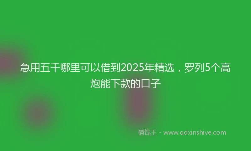 急用五千哪里可以借到2025年精选，罗列5个高炮能下款的口子