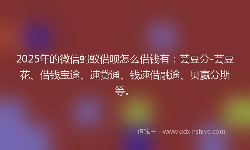 2025年的微信蚂蚁借呗怎么借钱有：芸豆分-芸豆花、借钱宝途、速贷通、钱速借融途、贝赢分期等。