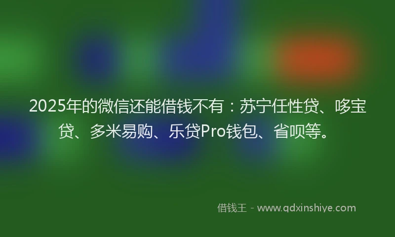 2025年的微信还能借钱不有：苏宁任性贷、哆宝贷、多米易购、乐贷Pro钱包、省呗等。
