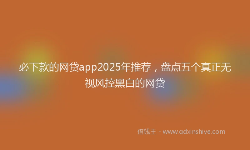 必下款的网贷app2025年推荐，盘点五个真正无视风控黑白的网贷