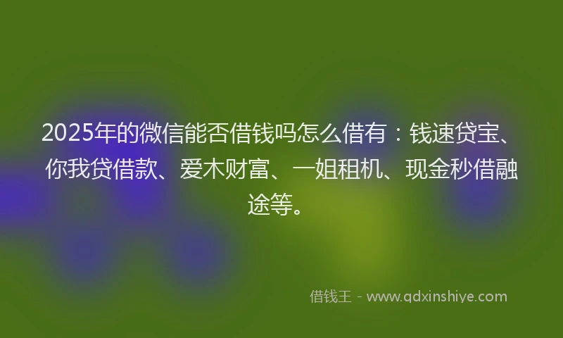 2025年的微信能否借钱吗怎么借有：钱速贷宝、你我贷借款、爱木财富、一姐租机、现金秒借融途等。