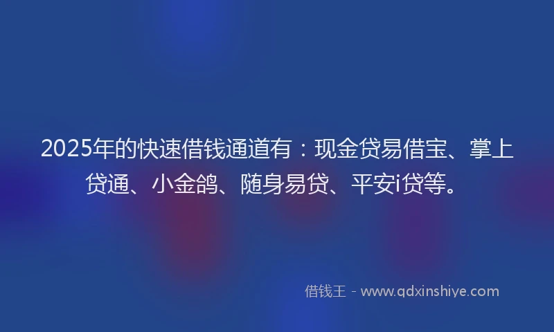 2025年的快速借钱通道有：现金贷易借宝、掌上贷通、小金鸽、随身易贷、平安i贷等。