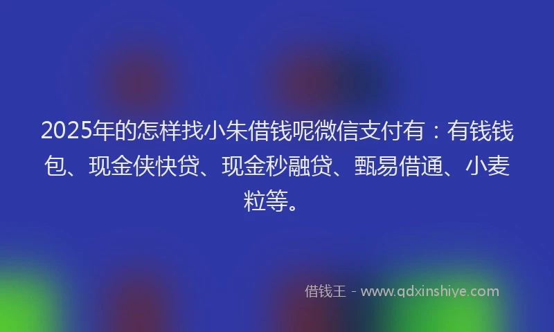 2025年的怎样找小朱借钱呢微信支付有：有钱钱包、现金侠快贷、现金秒融贷、甄易借通、小麦粒等。