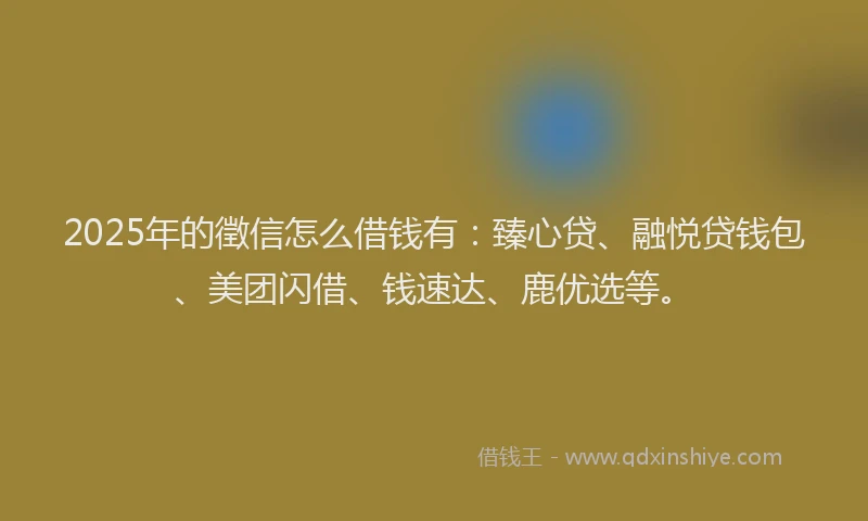 2025年的徵信怎么借钱有：臻心贷、融悦贷钱包、美团闪借、钱速达、鹿优选等。