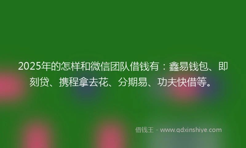 2025年的怎样和微信团队借钱有：鑫易钱包、即刻贷、携程拿去花、分期易、功夫快借等。