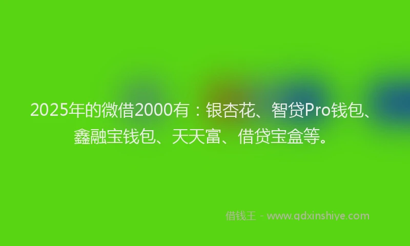 2025年的微借2000有：银杏花、智贷Pro钱包、鑫融宝钱包、天天富、借贷宝盒等。