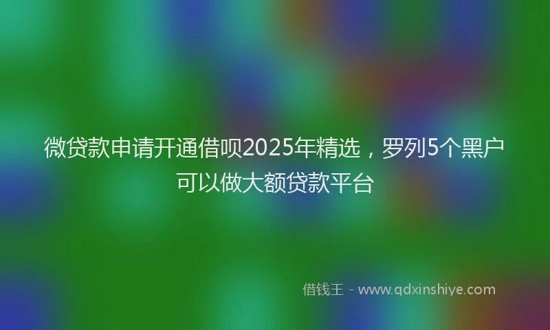 微贷款申请开通借呗2025年精选，罗列5个黑户可以做大额贷款平台