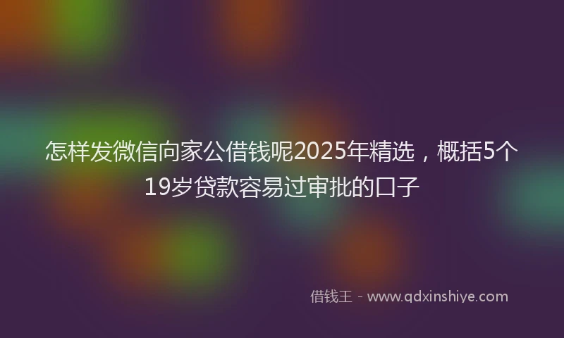 怎样发微信向家公借钱呢2025年精选，概括5个19岁贷款容易过审批的口子
